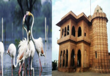 BHARATPUR: प्रवासी पक्षियों का स्वर्ग और ऐतिहासिक धरोहरों की भूमि