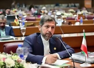 ‘यह हमारे अस्तित्व की लड़ाई है’, दिल्ली में बोले ईरान के उप विदेश मंत्री